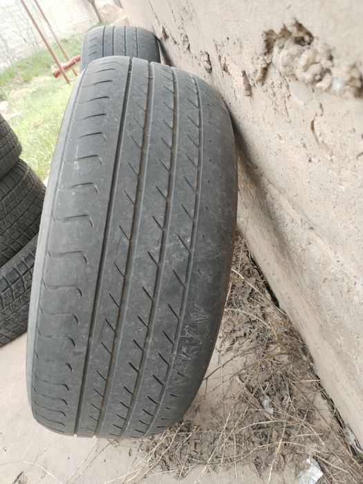 Шины летние  Traingle