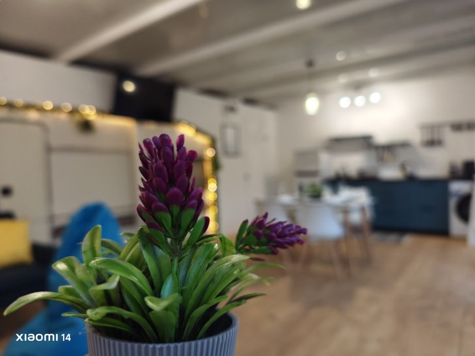 Каравана "KiKi" под наем на къмпинг "Каваци"