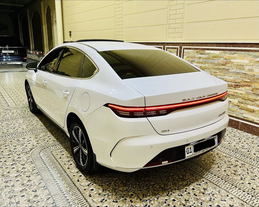BYD Chazor 120 tali Kraska Toza