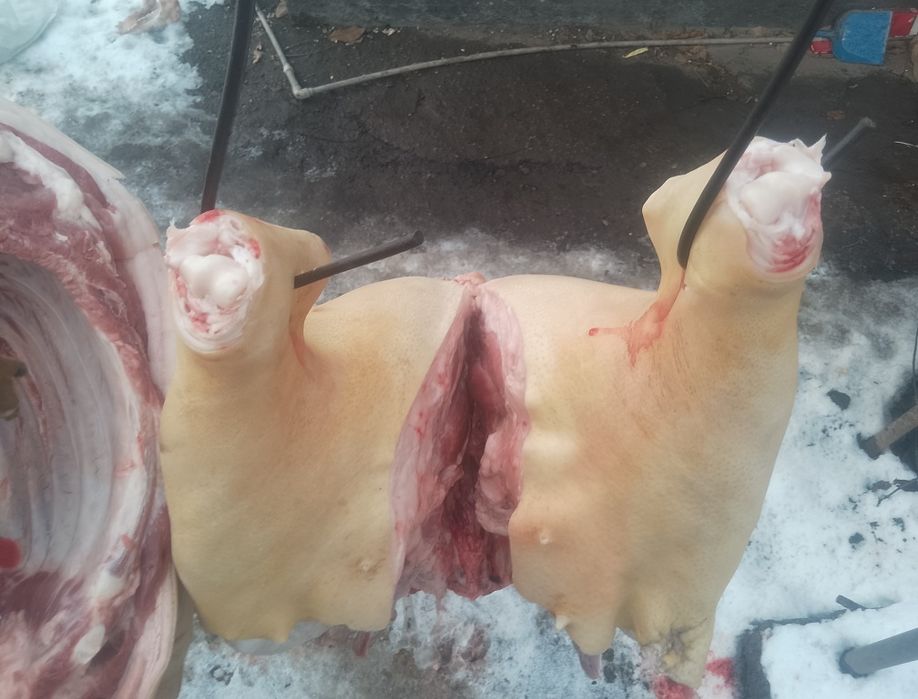 Свинина домашняя