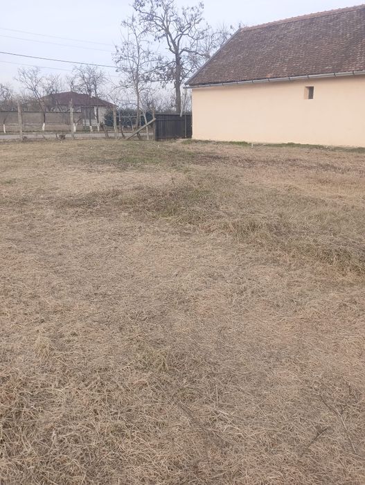 Vând teren la 20 km de Oradea