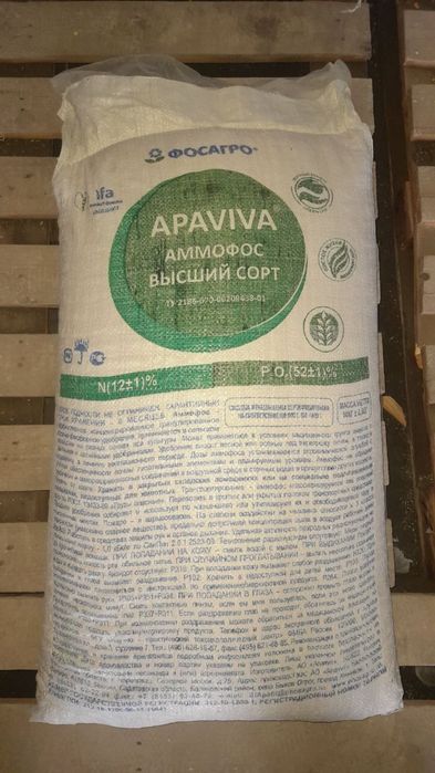 Rassiskiy Ammafos bor