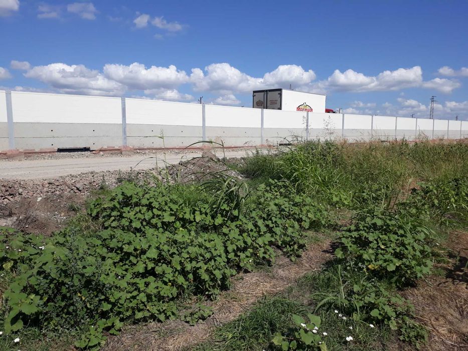 Продава се Парцел в Ахелой - 5000 кв.м за 45 €/кв.м - Снимка #2