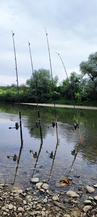 Vand echipament pescuit la somn Penn, Fin Nor