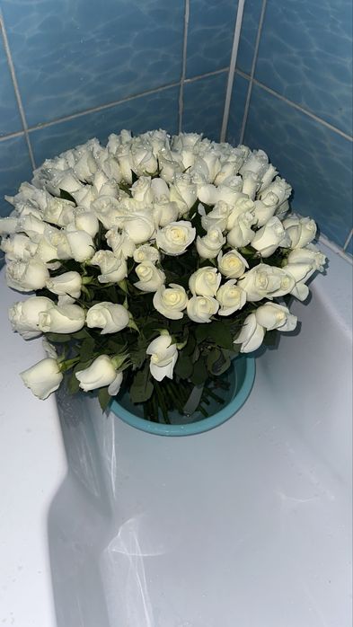 цветы 101 роза белая
