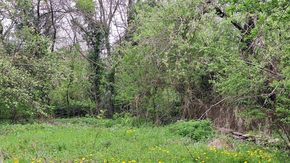 Продава се Къща в с. Буря, Област Габрово - 136 кв.м за 289 €/кв.м - Снимка #15