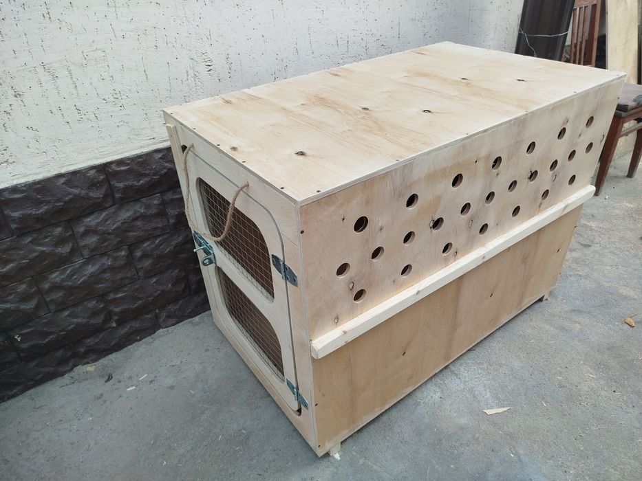 Авиабокс для собак