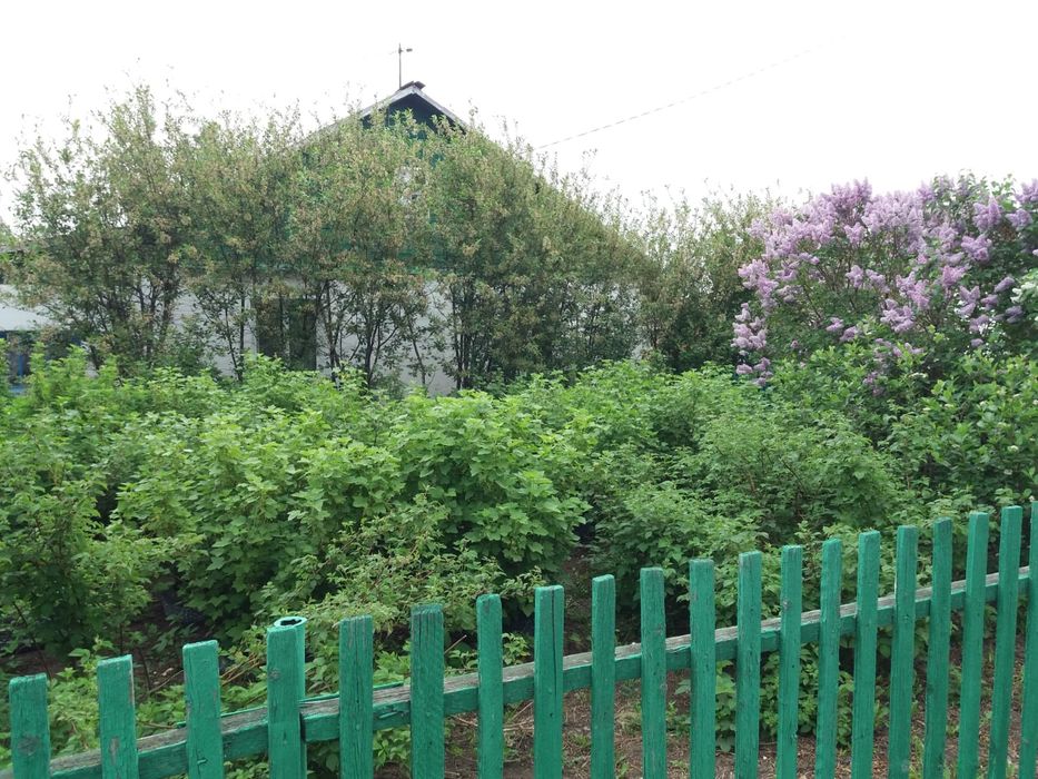 Продам  частный дом в Бишкуле