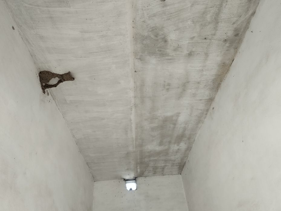 Продаю плиты перекрытия