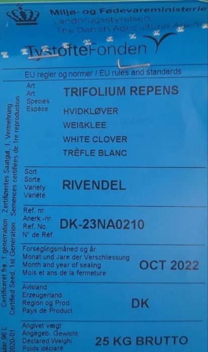 Декоративный клевер.скидки