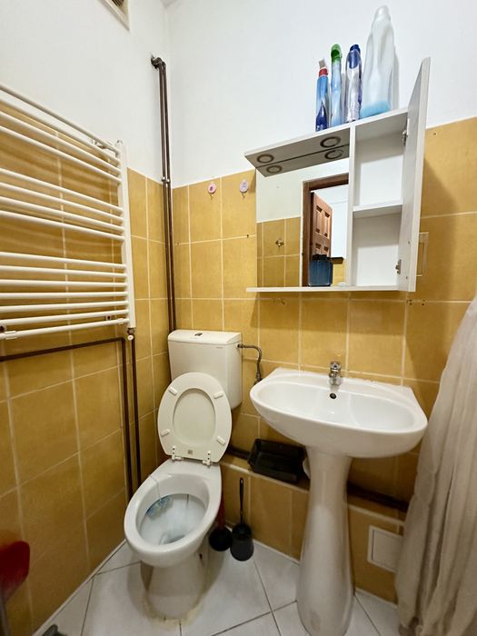 Propietar - Garsoniera - Lipovei