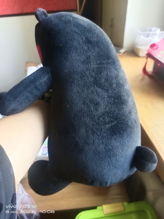 Медвежонок в черной цвете