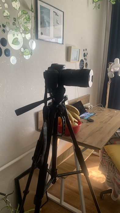 Фотоаппарат Canon 250d