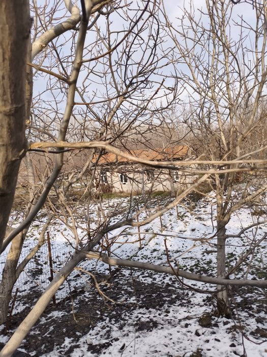 Ttz metro yonida yer sotiladi 5 so'tix