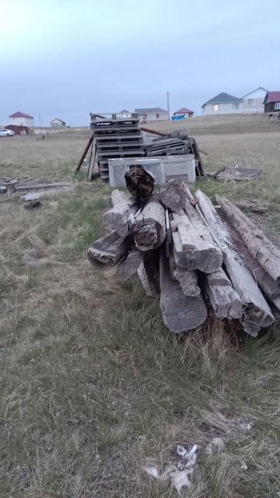 Участок в 6 даче