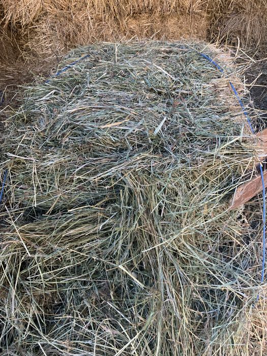 Vand baloti: lucerla, fan, otava si paie