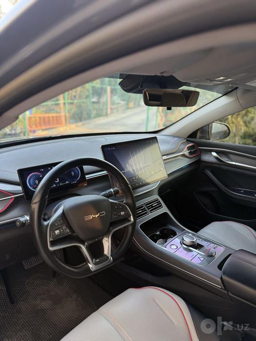 Byd chazor dm-i 120 tali 2024