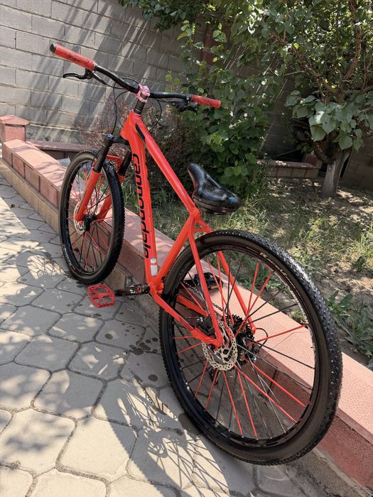 Cannondale Trail 5 (M) 2019 обмен на пк