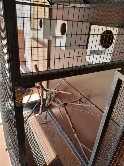 Кустарга клетка сатылады