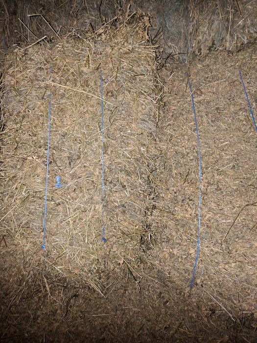 Porumb Grîu,Baloți lucerna de vînzare