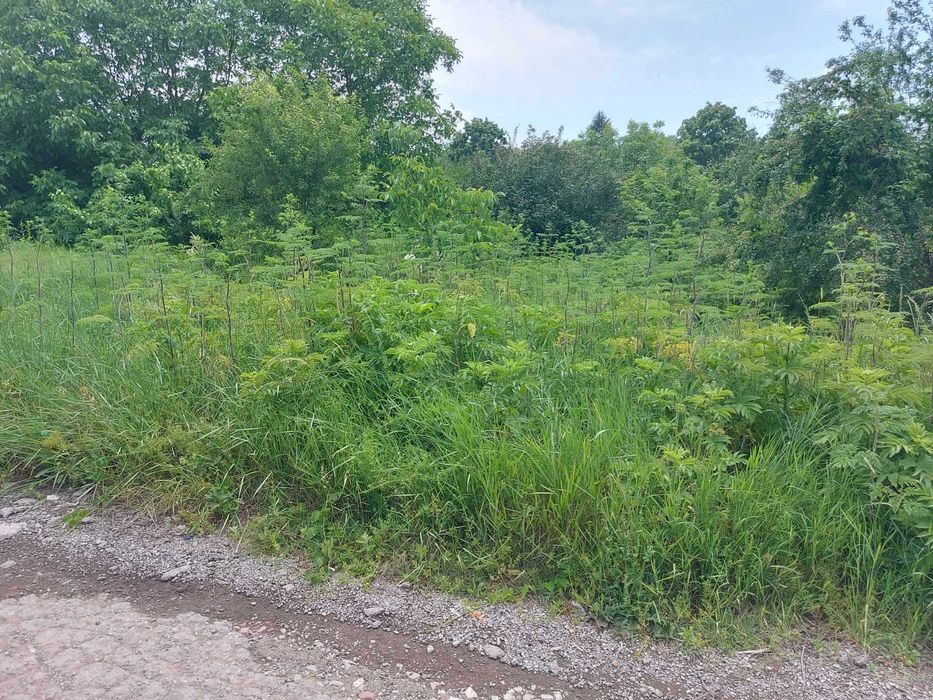 Продава се Парцел в Търговище, Изток 1 - 1762 кв.м за 29 €/кв.м - Снимка #1