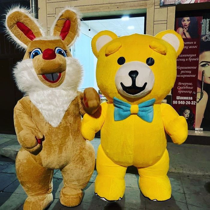 Kotta ayiqlar Sotilad