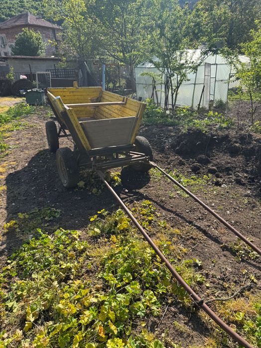 Каруца за магаре и кон