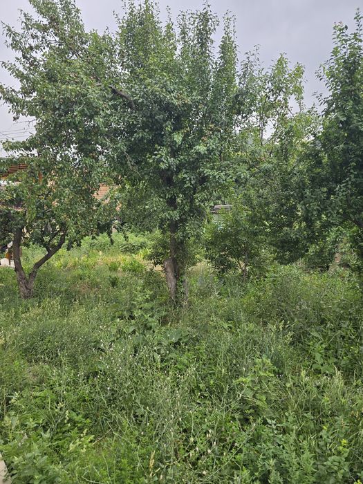 Продам дом в с/о Торпеда