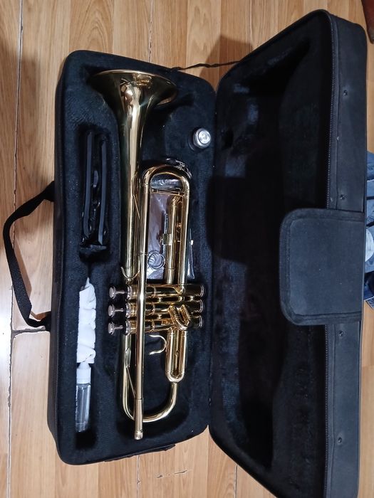 Vînd tropetă nouă am cupărato ce va timp în urmă schimb pe clarinet