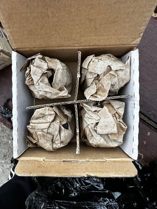 Set pivoti ARO L25 benzină, IMS