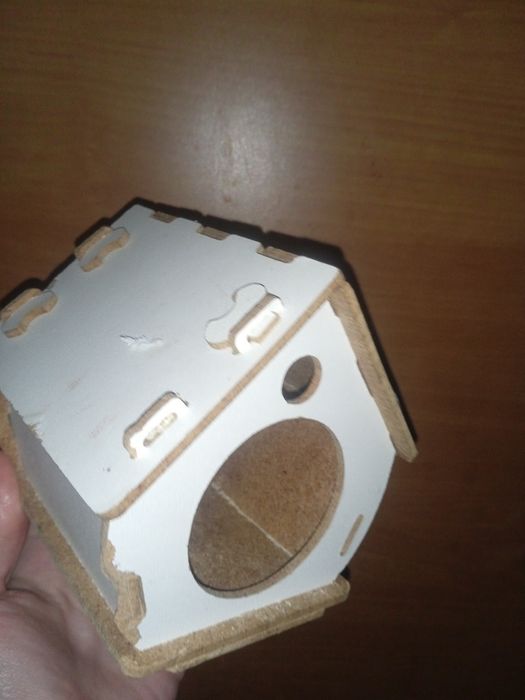 Джунгарский хомяк