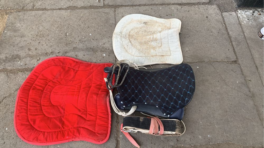 Тай қунан ертоқым