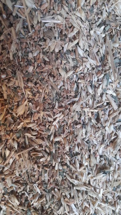 Сечка бидай сатылады