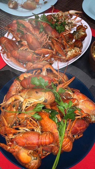 Живые раки доставка