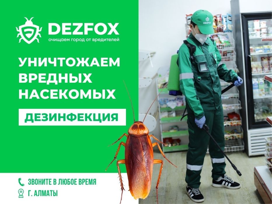 Дезинфекция Дизенфекция Астана От Тараканов Грызунов Клопов