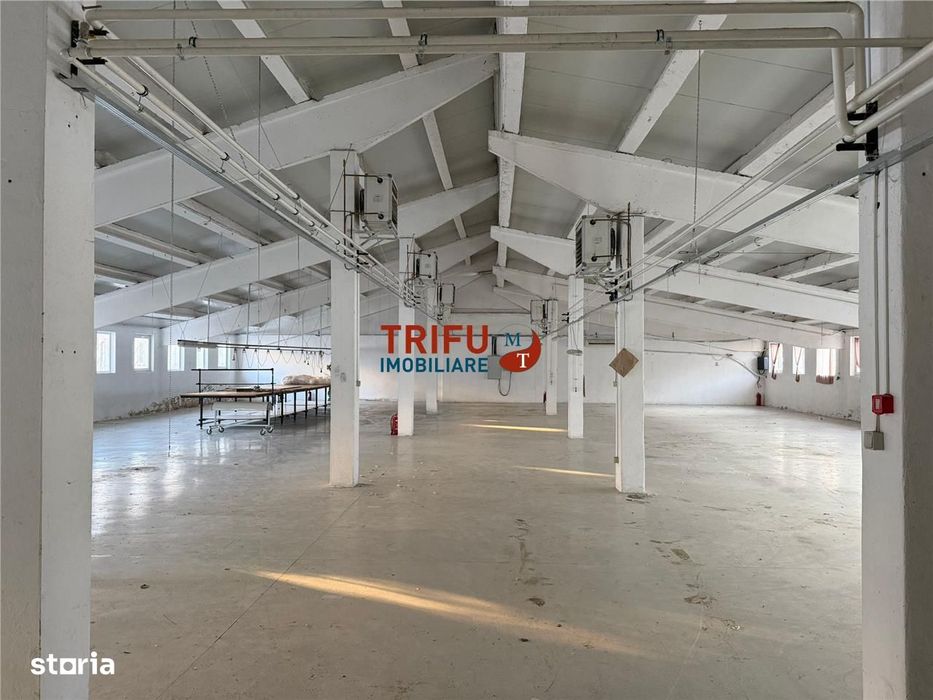 Hală industrială de închiriat în Sebeș  depozitare sau producție