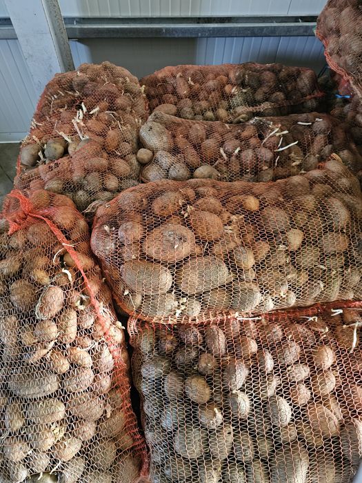 Cartofi animale sa samanta