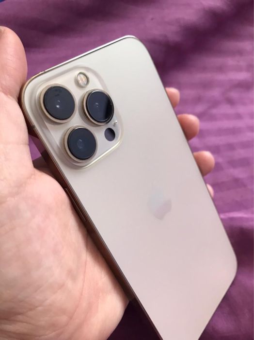 iPhone 13 Pro Max