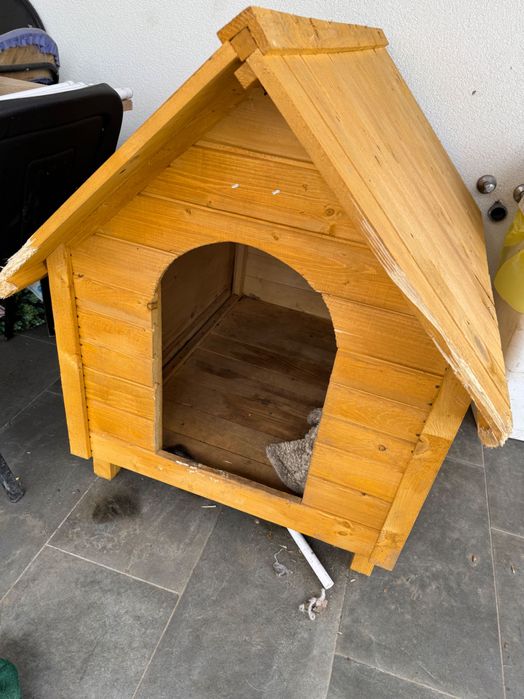 Cusca de caine marimea L