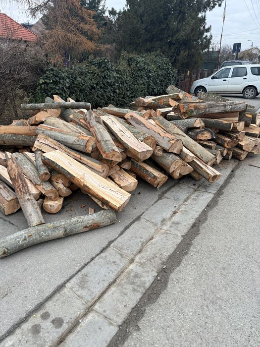 ‼️SC‼️Depozit autorizat comercializăm lemne de foc [Fag,Stejar,Carpen]