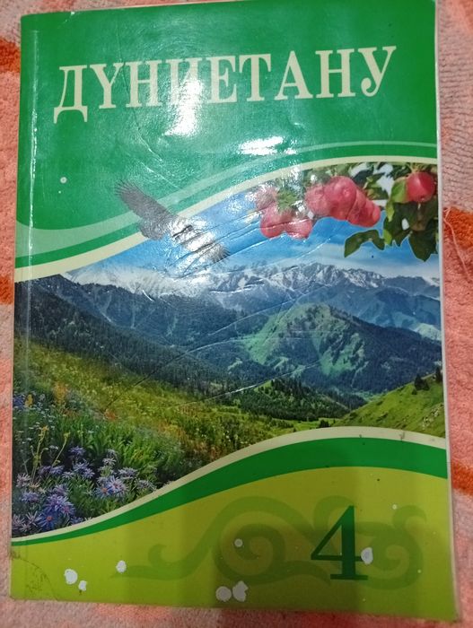 Дүниетану 4 сынып