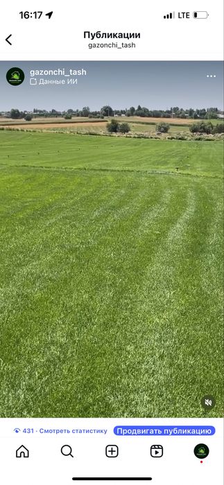 Gazon ustanovka landshaft dizayn