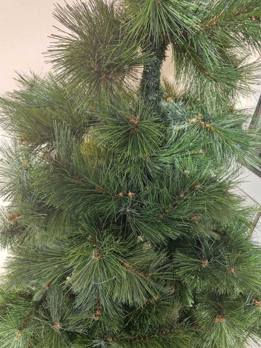 Елха 170 см. Богата корона , иглички 5 см.