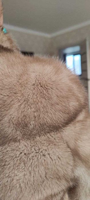 Норковая шуба трансформер 46 размера