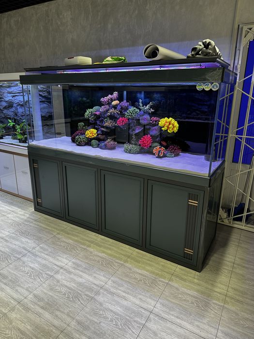 Aquashop аквариумы премиум класса