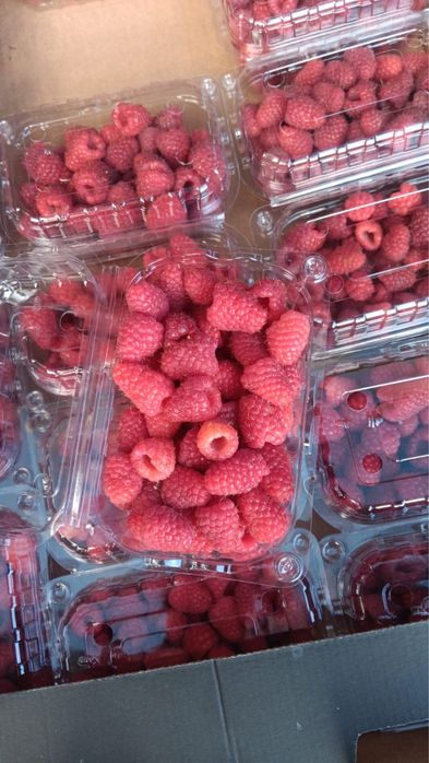 Zmeura proaspata si aromata