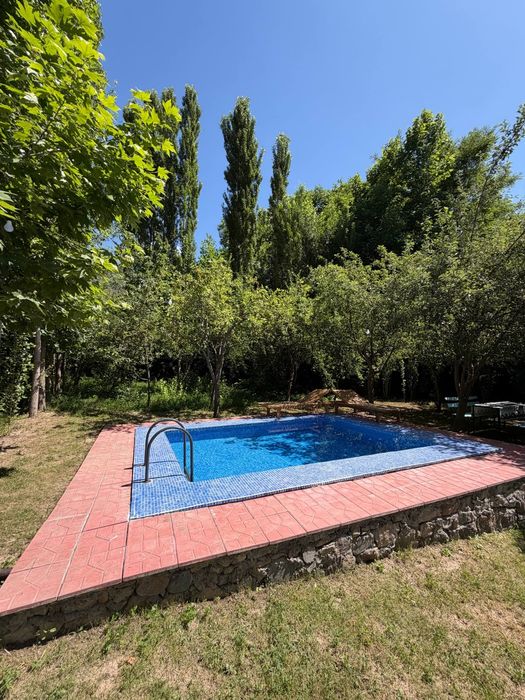 Tozza ozoda dacha
