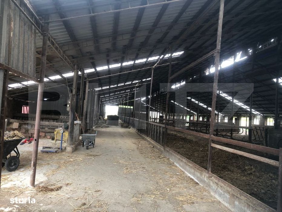 Teren de vanzare, 15.000 mp, ferma, zona Martinesti