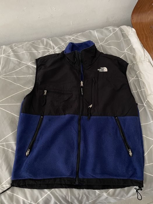 Vesta the north face