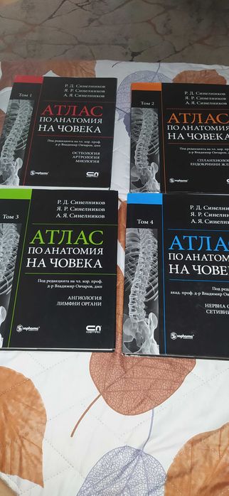 СПЕШНО Атлас по Анатомия на Синелников ПРОДАДЕНИ